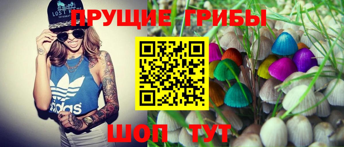 Псилоцибиновые грибы Cubensis  где купить наркоту  Россия  Галлюциногенные грибы MAGIC MUSHROOMS  Вход с VPN 